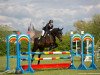 dressage horse Galiano 22 (Bavarian, 2006, from Grafenstolz)