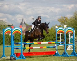 dressage horse Galiano 22 (Bavarian, 2006, from Grafenstolz)