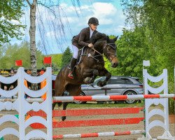 jumper Chianti Rouge 3 (Hanoverian, 2013, from Concours Complet)