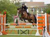 jumper Canyon 27 (KWPN (Royal Dutch Sporthorse), 2009, from Veron)