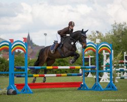 jumper Marilyn Delle Crete (Italian Warmblood, 2009, from Staron)