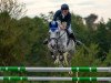 jumper La Bonita M (Oldenburg show jumper, 2009, from Monte Bellini)