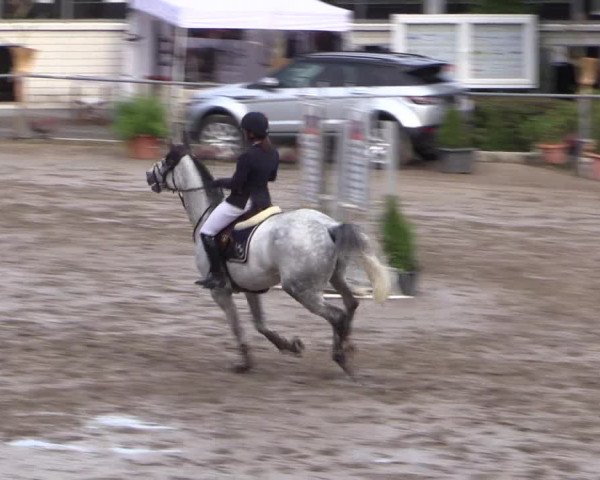 Reitturnier Siegen 2016