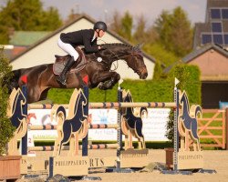 broodmare Chanya (Hanoverian, 2010, from Chacco-Blue)