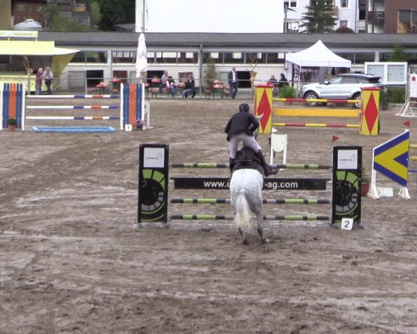 Reitturnier Siegen 2016