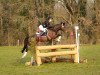 jumper Not a Nightmare (German Riding Pony, 2010, from Heidbergs Nancho Nova)