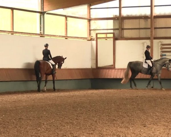Reitturnier Meinerzhagen 2016