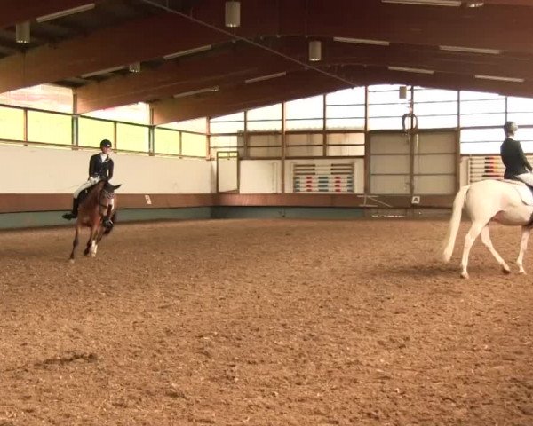 Reitturnier Meinerzhagen 2016