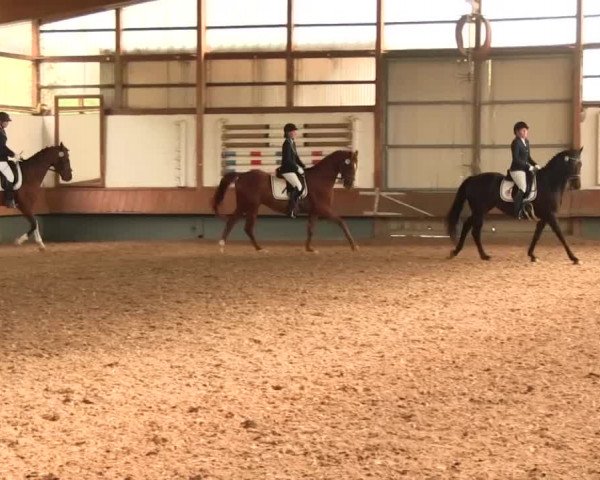 Reitturnier Meinerzhagen 2016