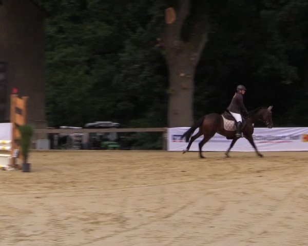 Reitturnier Buchenhof-Ibbenbüren 2016