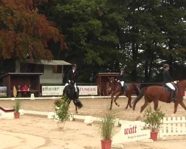 Reitturnier Meinerzhagen 2016