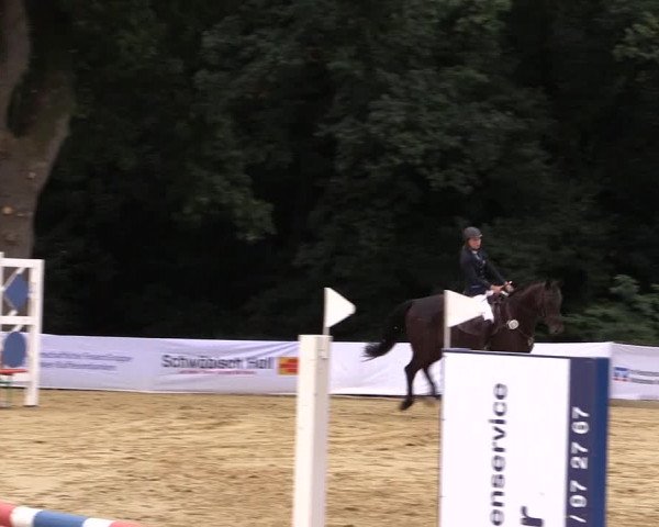 Reitturnier Buchenhof-Ibbenbüren 2016