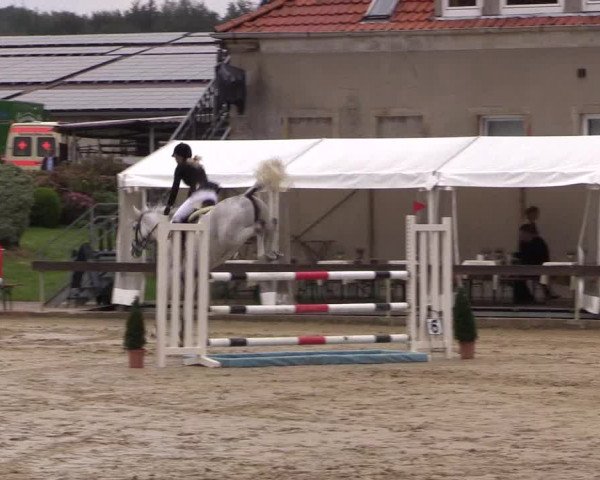 Reitturnier Buchenhof-Ibbenbüren 2016