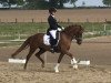 dressage horse Simply The Best Cm (German Riding Pony, 2015, from Da Vinci Hs)