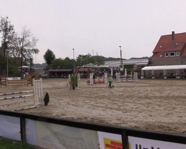 Reitturnier Buchenhof-Ibbenbüren 2016