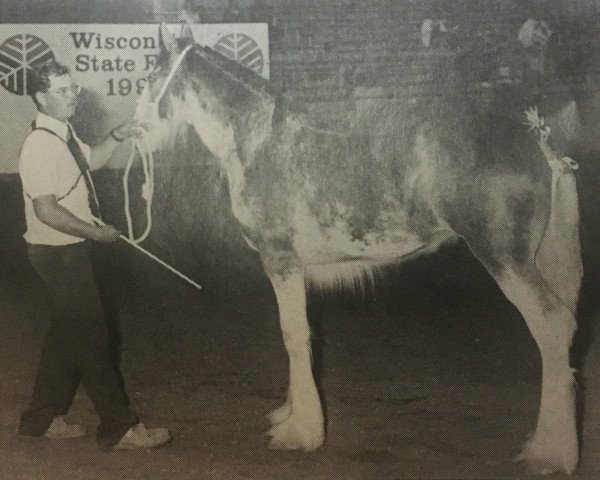 Zuchtstute Thistle Ridge Argyll Silken (Clydesdale, 1992, von Commander Mark Argyll)