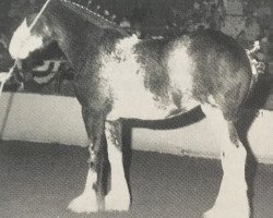 Zuchtstute Armageddon's Mistress Tabitha (Clydesdale, 1989, von Bardrill Black Diamond)