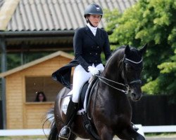 dressage horse Le Noir B 2 (Hanoverian, 2005, from Latimer)