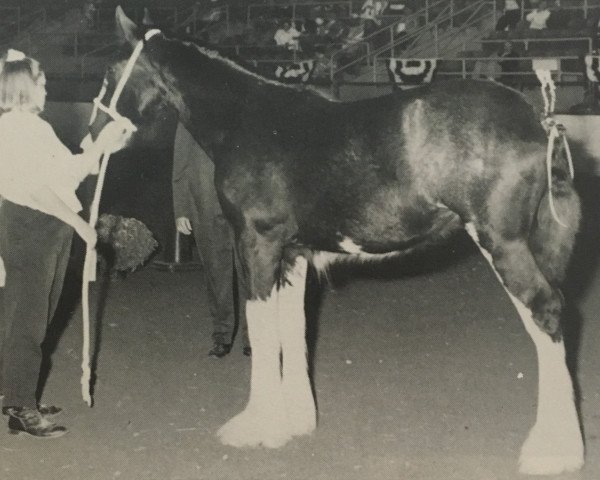 broodmare Armageddon's Mistress Jessica (Clydesdale, 1994, from Broadlea Classic Joe)