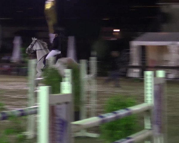 Reitturnier Buchenhof-Ibbenbüren 2016