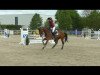 jumper Queensland 32 (German Sport Horse, 2015, from Quality 9)