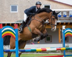 jumper Curtis Jackson (Holsteiner, 2012, from Cesano II)