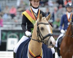 dressage horse Daddy Moon (German Riding Pony, 2010, from FS Daddy Cool)