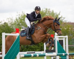 jumper Casimir M (Württemberger, 2012, from Ciacomo)