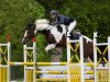 stallion Hahnenhofs Rox du Rouet (Württemberger, 2012, from Roxett)