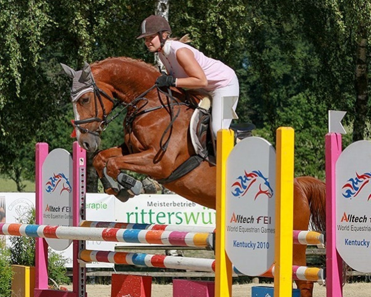broodmare Aletta CBS (Westphalian, 2009, from Arpeggio)