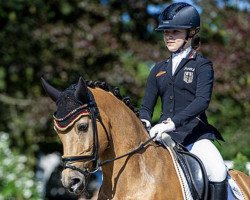 dressage horse ZINQ Massimiliano FH (German Riding Pony, 2005, from Monsun N)