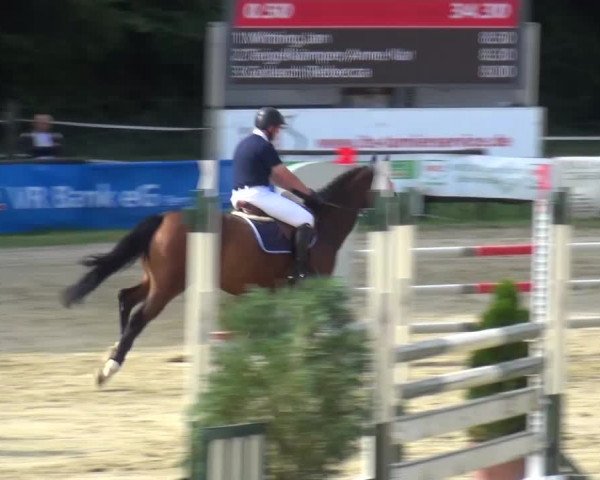 Reitturnier Bergisch Gladbach-Paffrath 2016