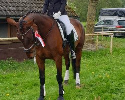 dressage horse Destiny's Way (Oldenburg, 2004, from Donnerschwee)