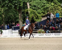 dressage horse Highvally D WE (German Riding Pony, 2009, from Hot Cream 3)