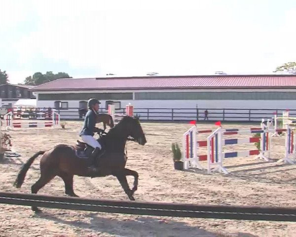 Reitturnier HH-Klein Offenseth/Hell-Stallion-Stud 2016