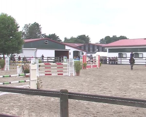 Reitturnier HH-Klein Offenseth/Hell-Stallion-Stud 2016
