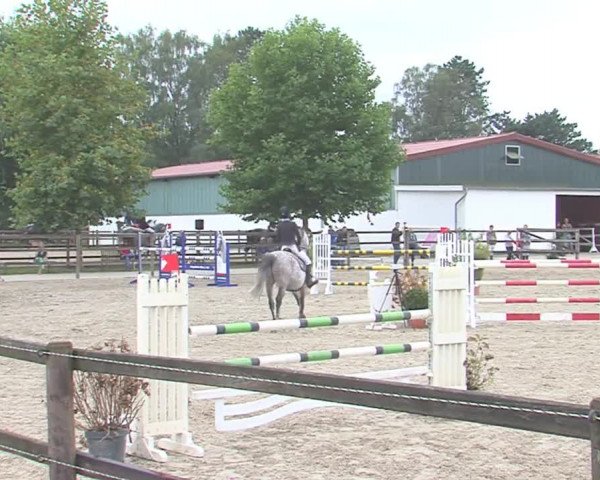 Reitturnier HH-Klein Offenseth/Hell-Stallion-Stud 2016