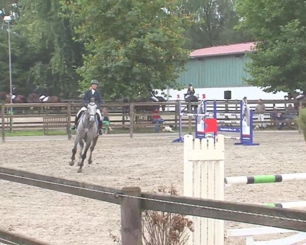Reitturnier HH-Klein Offenseth/Hell-Stallion-Stud 2016