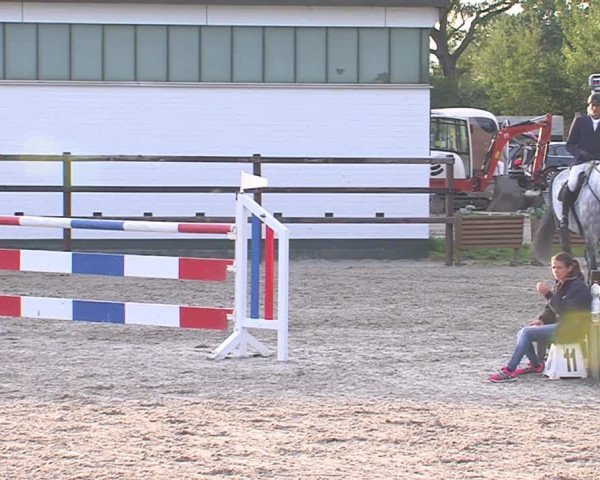 Reitturnier HH-Klein Offenseth/Hell-Stallion-Stud 2016