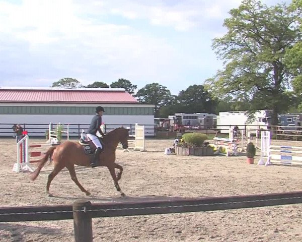 Reitturnier HH-Klein Offenseth/Hell-Stallion-Stud 2016