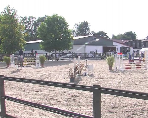 Reitturnier HH-Klein Offenseth/Hell-Stallion-Stud 2016