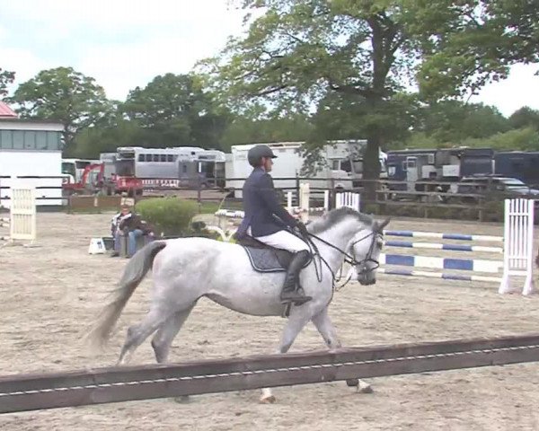 Reitturnier HH-Klein Offenseth/Hell-Stallion-Stud 2016