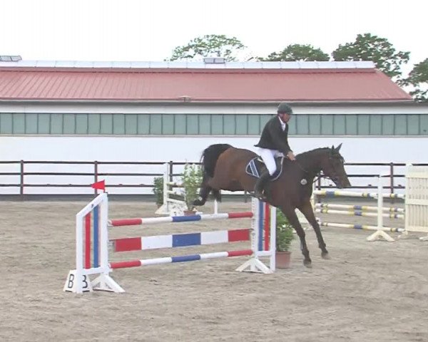 Reitturnier HH-Klein Offenseth/Hell-Stallion-Stud 2016