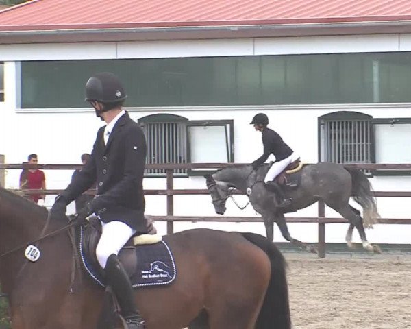 Reitturnier HH-Klein Offenseth/Hell-Stallion-Stud 2016