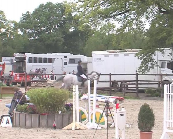 Reitturnier HH-Klein Offenseth/Hell-Stallion-Stud 2016