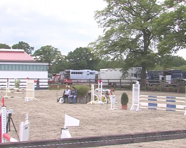 Reitturnier HH-Klein Offenseth/Hell-Stallion-Stud 2016