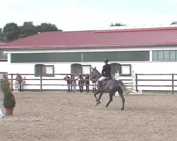 Reitturnier HH-Klein Offenseth/Hell-Stallion-Stud 2016