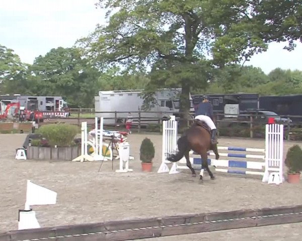 Reitturnier HH-Klein Offenseth/Hell-Stallion-Stud 2016