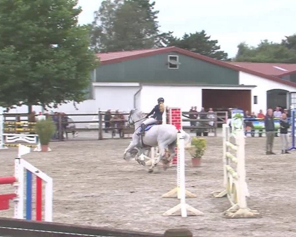 Reitturnier HH-Klein Offenseth/Hell-Stallion-Stud 2016
