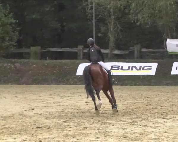 Nordbadische Meisterschaften Springen 2016